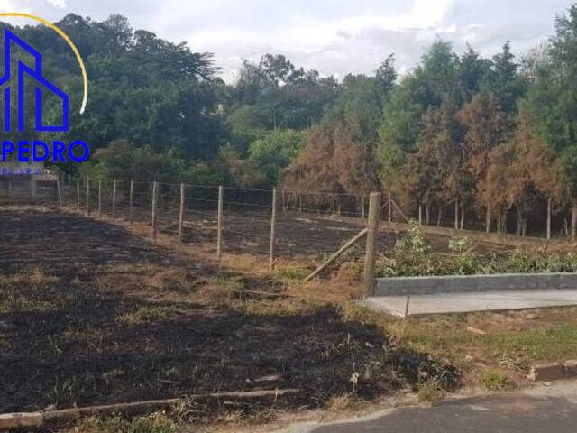 Terreno para Venda em São Pedro - 5