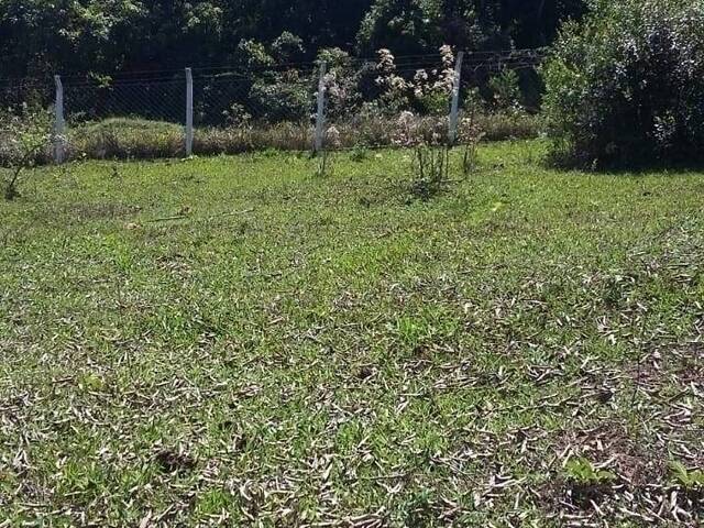 Chácara para Venda em São Pedro - 3