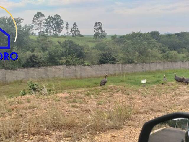 Terreno para Venda em São Pedro - 4