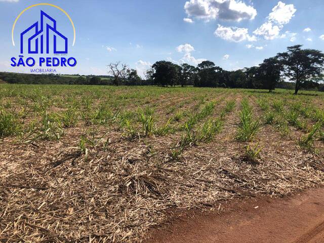 #fa1059 - Fazenda para Venda em São Carlos - SP - 2