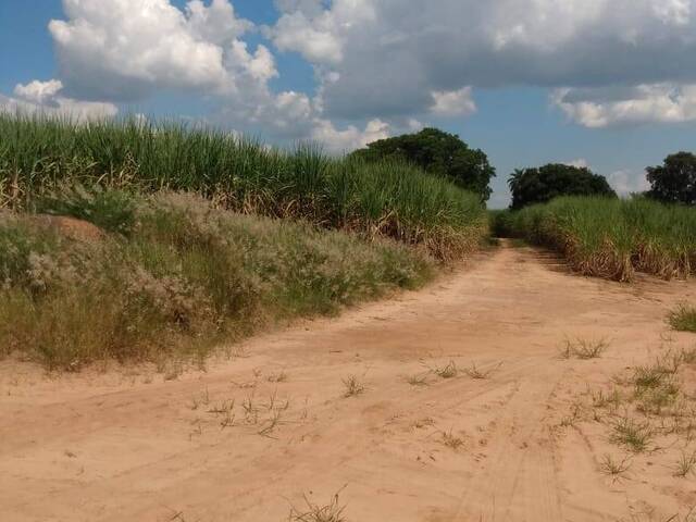 #FA1085 - Fazenda para Venda em Santa Maria da Serra - SP - 2