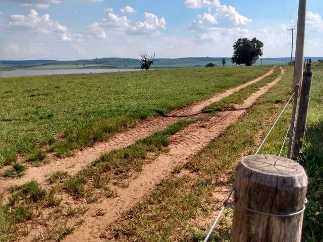 Fazenda para Venda em Santa Maria da Serra - 4