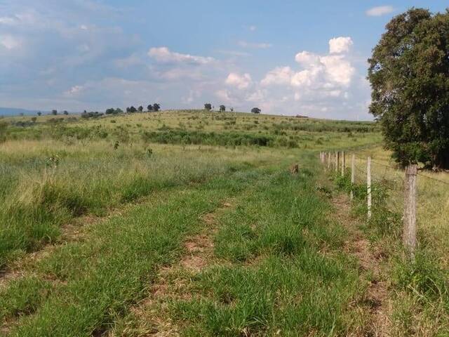 Fazenda para Venda em Santa Maria da Serra - 5