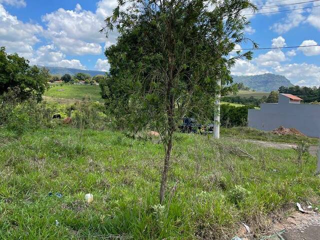 Terreno para Venda em Charqueada - 5