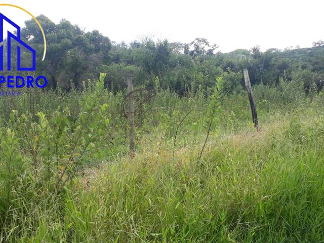 Terreno para Venda em São Pedro - 3