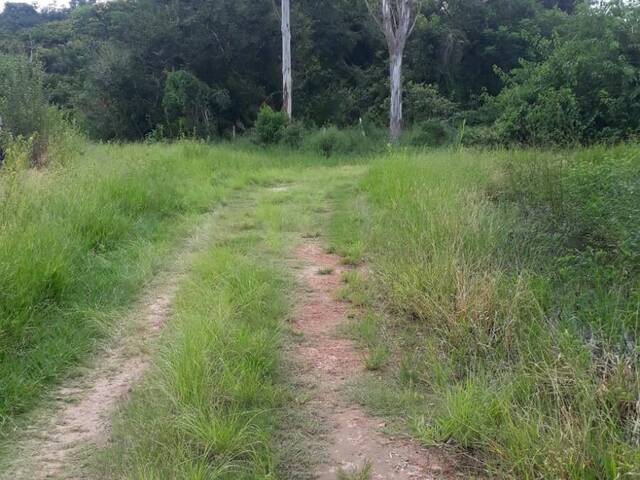 Terreno para Venda em São Pedro - 4