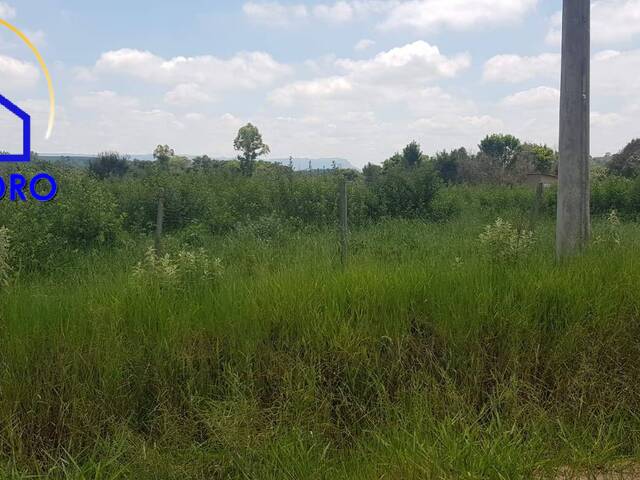 Terreno para Venda em São Pedro - 5