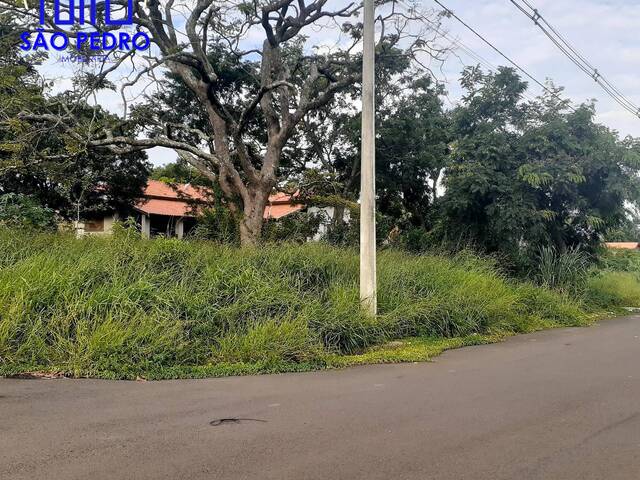 Terreno para Venda em São Pedro - 4