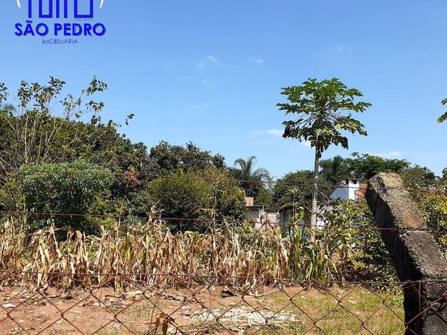 Terreno para Venda em São Pedro - 1