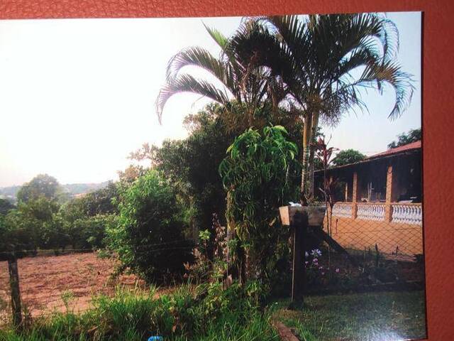 Terreno para Venda em São Pedro - 5