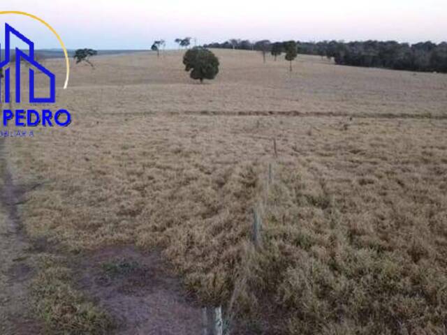 Fazenda para Venda em Itatinga - 4