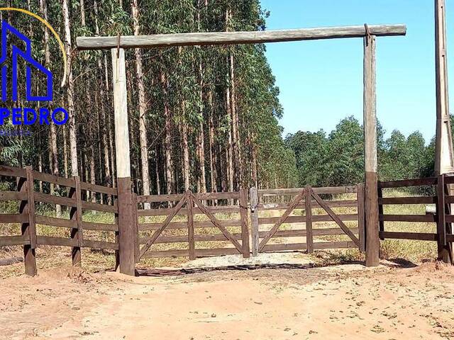 #fa1248 - Fazenda para Venda em Botucatu - SP - 1