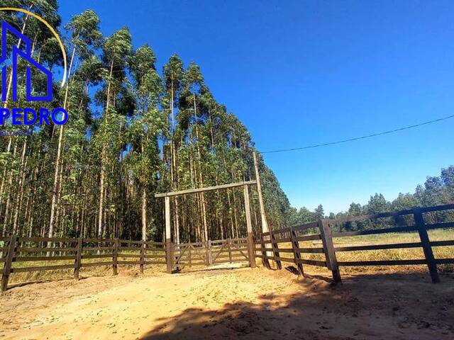 #fa1248 - Fazenda para Venda em Botucatu - SP - 2