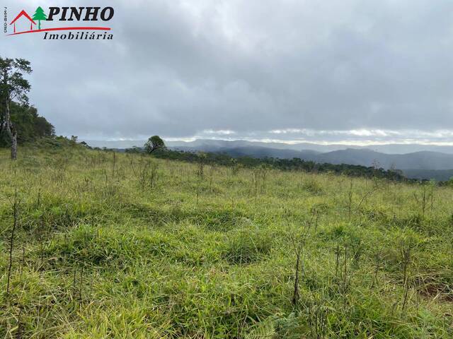 #FA1265 - Fazenda para Venda em São Pedro - SP - 1