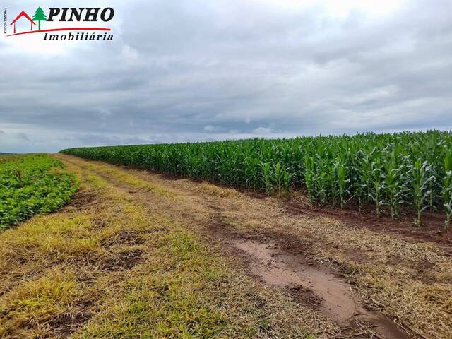 #FA1266 - Fazenda para Venda em São Pedro - SP - 1