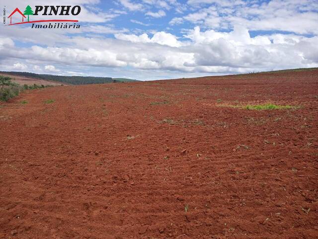 #FA1266 - Fazenda para Venda em São Pedro - SP - 2