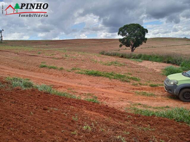 #FA1266 - Fazenda para Venda em São Pedro - SP - 3