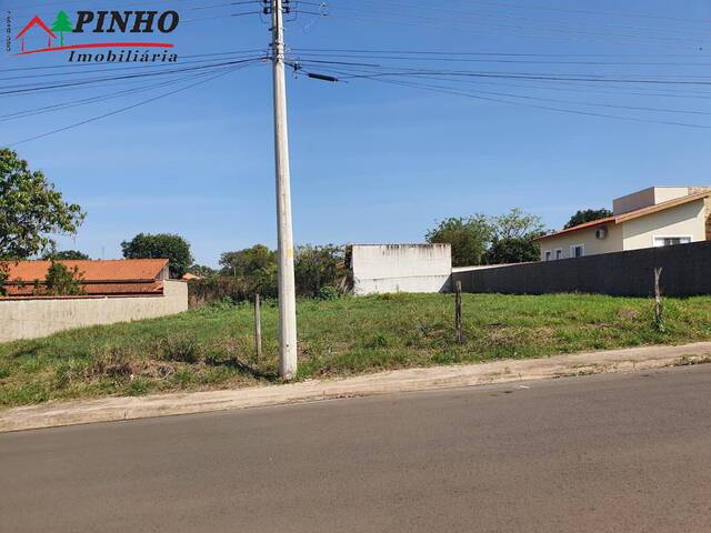 Terreno para Venda em São Pedro - 1