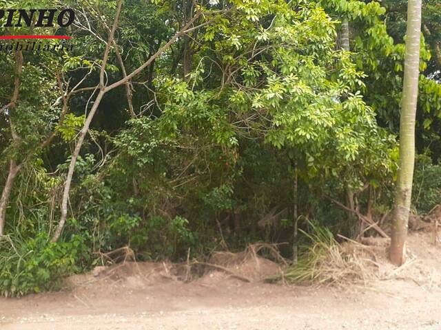 #TE1305 - Terreno para Venda em São Pedro - SP - 3