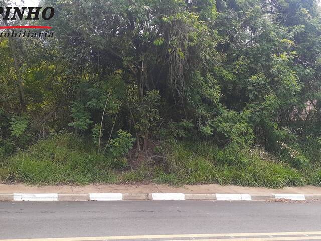 #TE1305 - Terreno para Venda em São Pedro - SP - 1