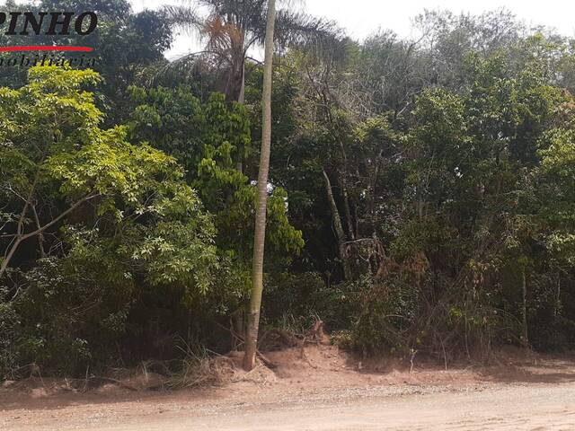 Terreno para Venda em São Pedro - 4