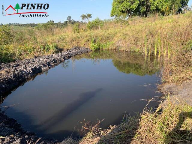 #TE1307 - Terreno para Venda em São Pedro - SP - 3