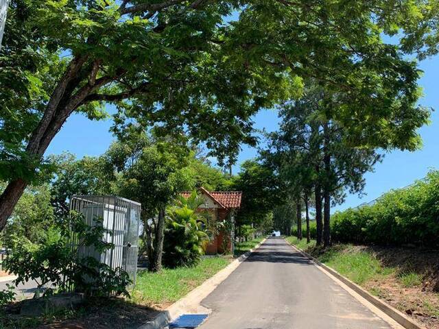 Terreno para Venda em São Pedro - 4