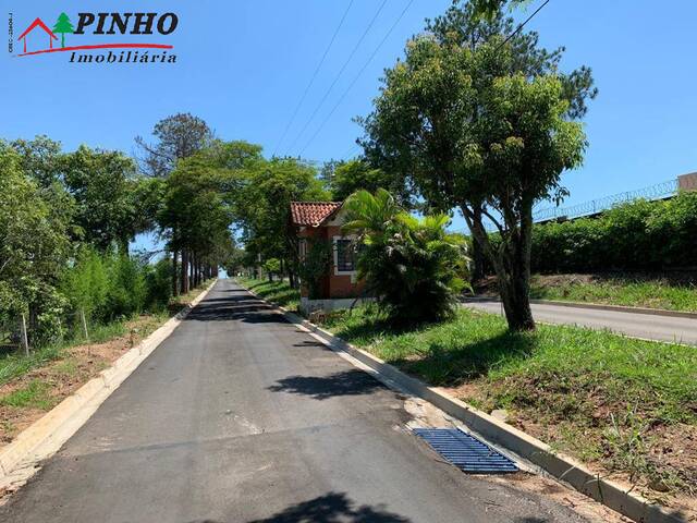 Terreno para Venda em São Pedro - 1