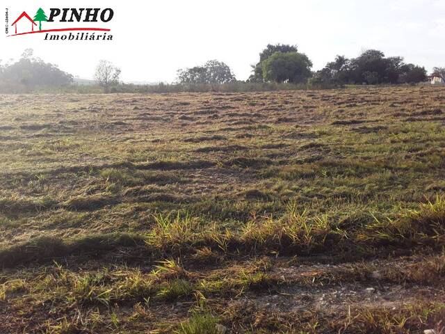 Terreno para Venda em São Pedro - 2