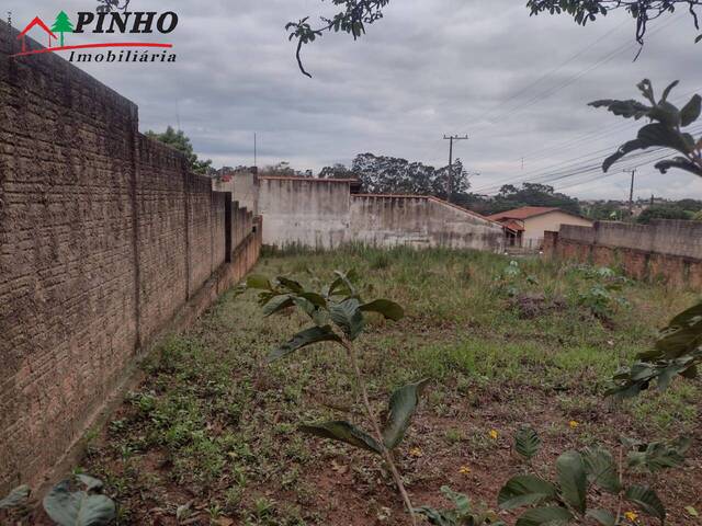 Terreno para Venda em São Pedro - 2