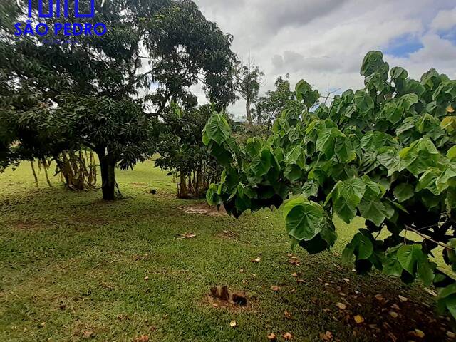 CHACARA para Venda em São Pedro - 2