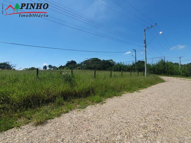 Terreno para Venda em São Pedro - 2