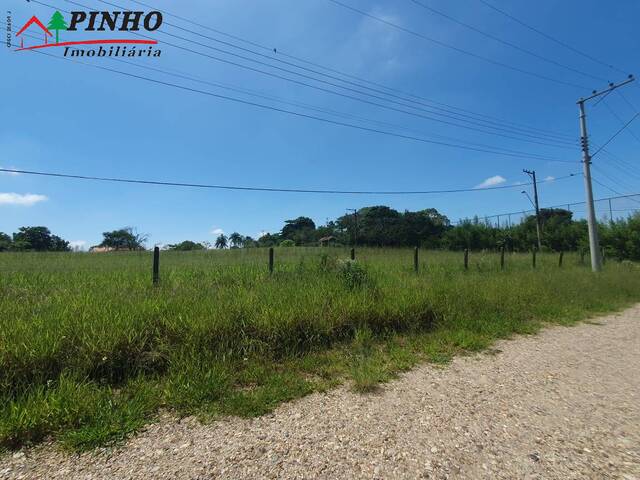 Terreno para Venda em São Pedro - 3