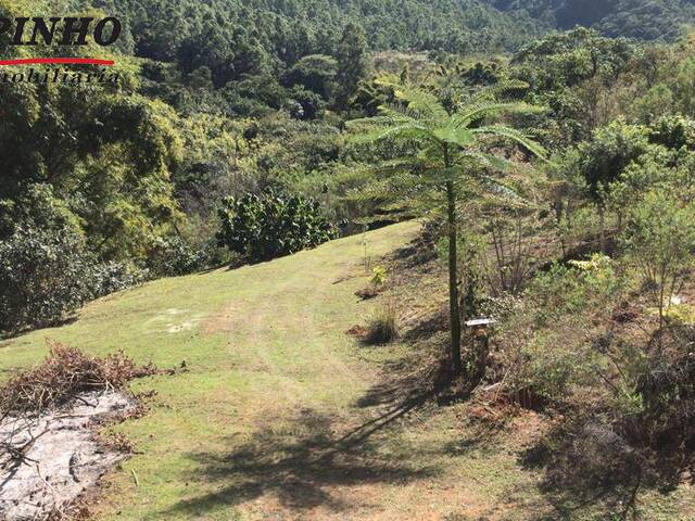 CHACARA para Venda em São Pedro - 1