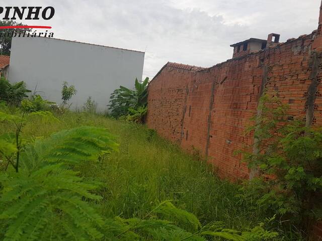 Terreno para Venda em São Pedro - 2