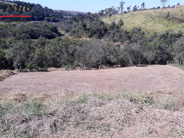 Terreno para Venda em São Pedro - 2