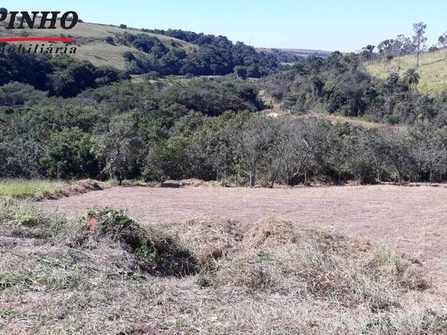 #TE1352 - Terreno para Venda em São Pedro - SP - 3