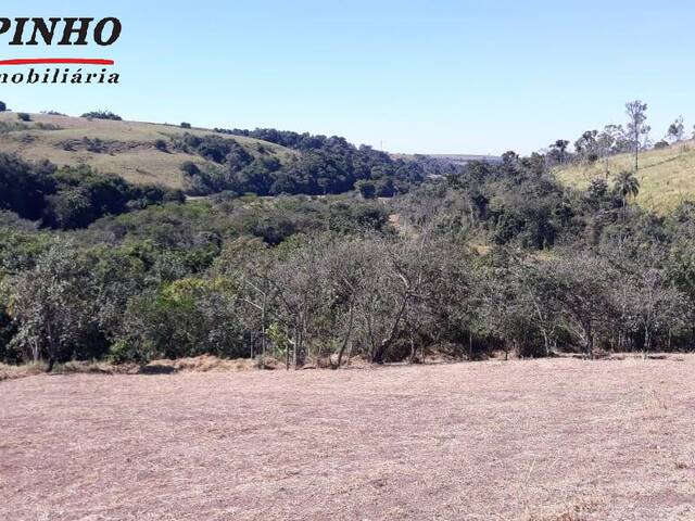 Terreno para Venda em São Pedro - 4