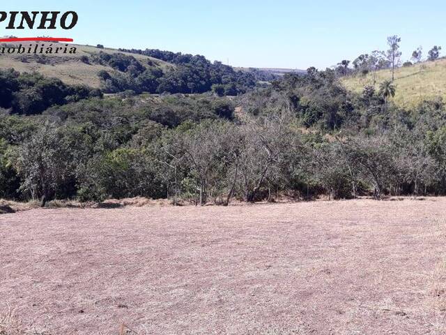 Terreno para Venda em São Pedro - 5