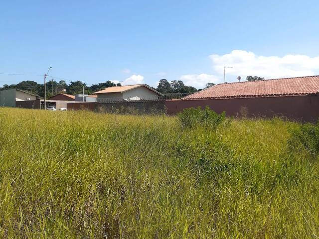 Terreno para Venda em São Pedro - 2