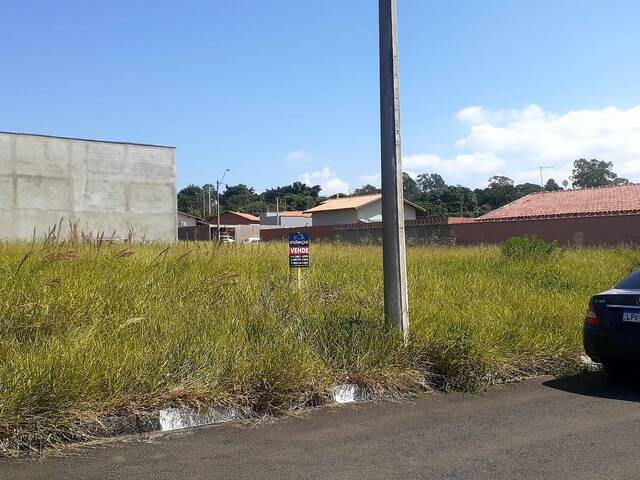 Terreno para Venda em São Pedro - 1