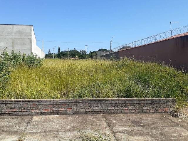 Terreno para Venda em São Pedro - 4