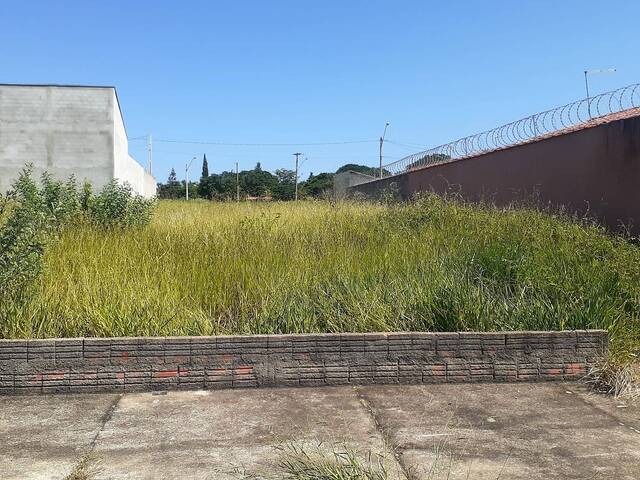 Terreno para Venda em São Pedro - 5