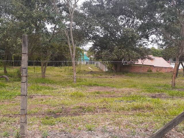 Terreno para Venda em São Pedro - 2