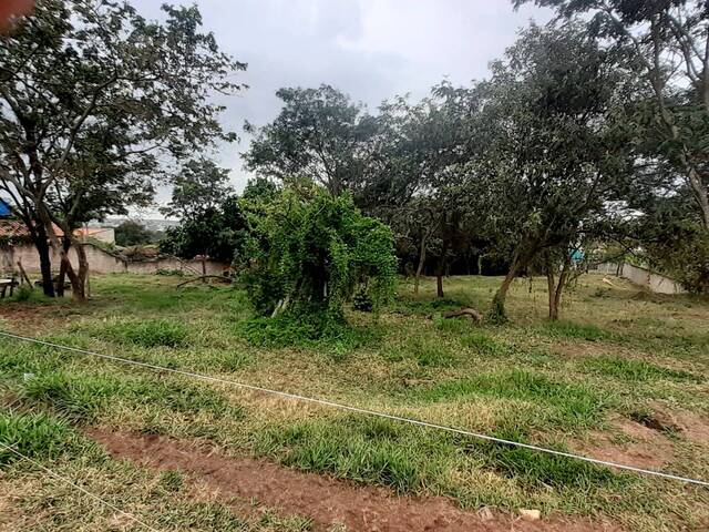 Terreno para Venda em São Pedro - 3