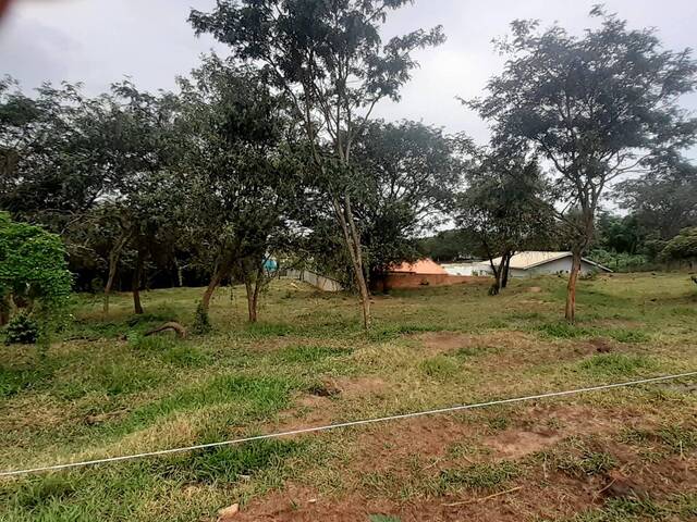 Terreno para Venda em São Pedro - 4