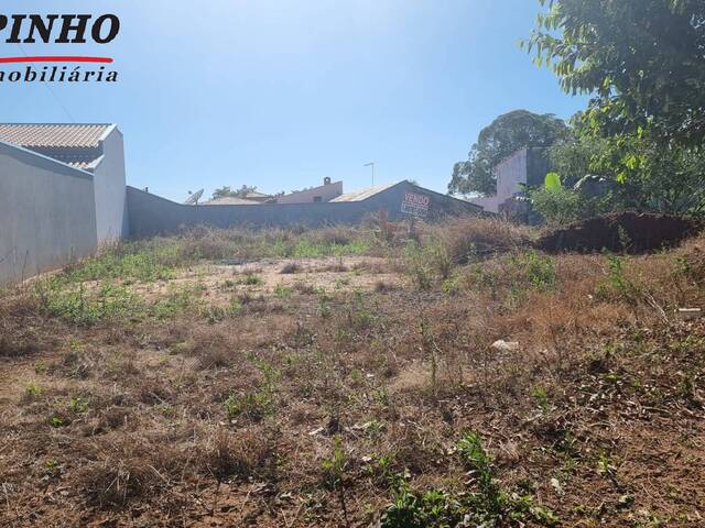 #TE1369 - Terreno para Venda em Brotas - SP - 1