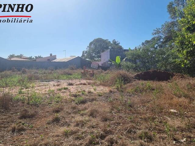 #TE1369 - Terreno para Venda em Brotas - SP - 2