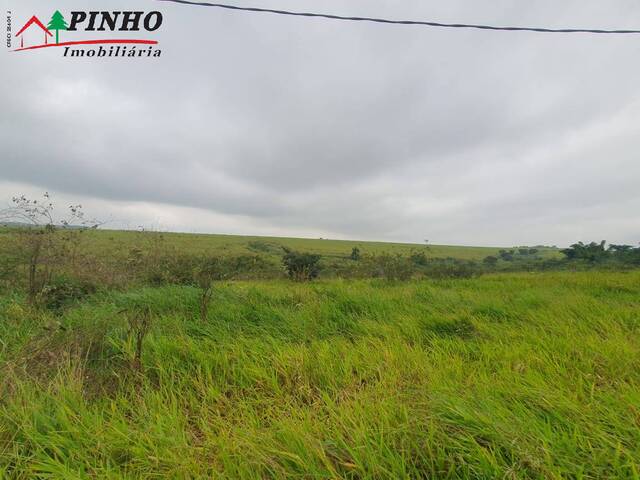 Terreno para Venda em São Pedro - 3