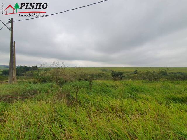 Terreno para Venda em São Pedro - 2